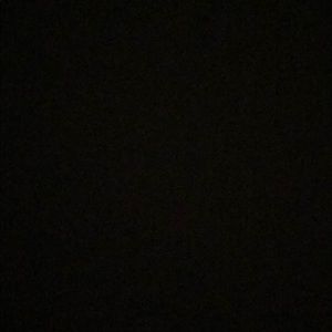 Meet your Posher, Izzy